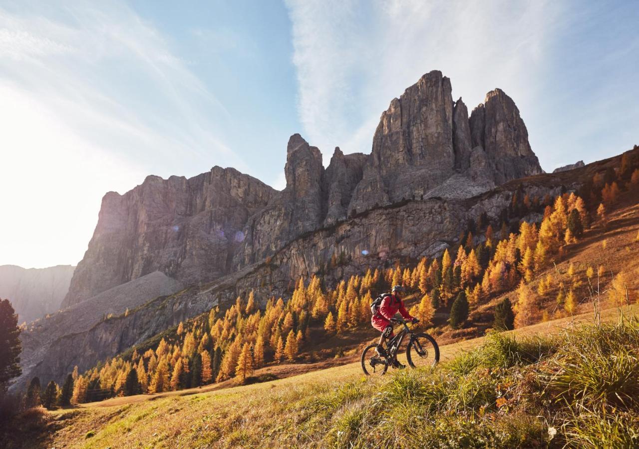 Готель Chalet Elisabeth Dolomites Alpin & Charme Сельва-ді-Валь-Гардена Екстер'єр фото