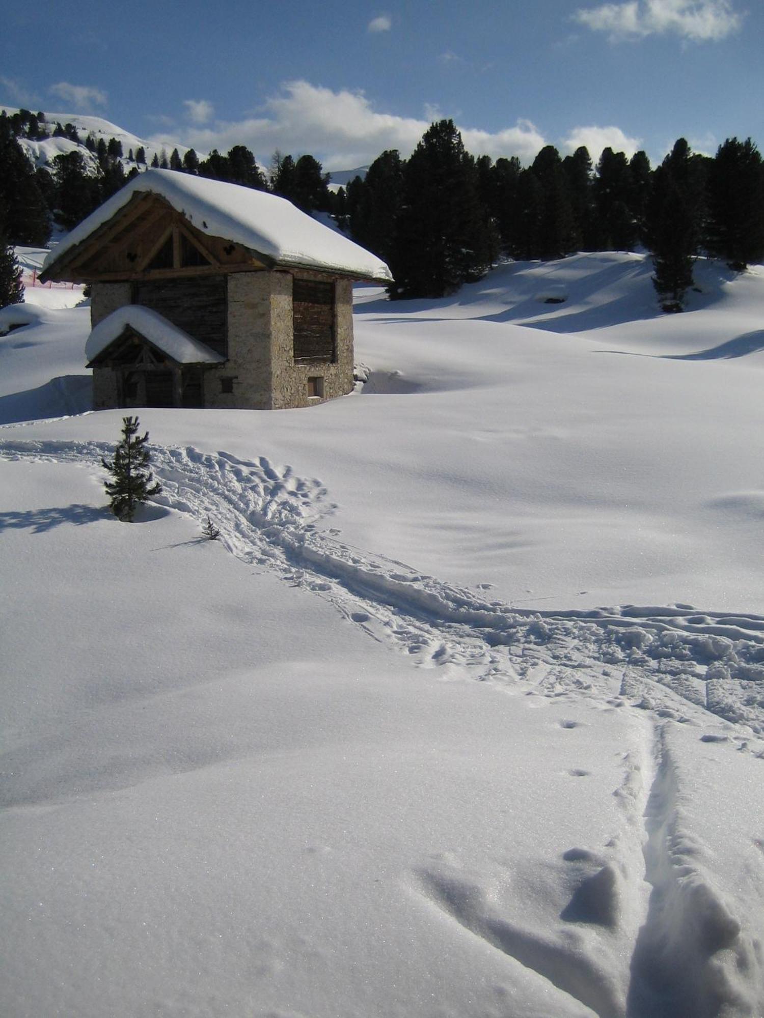 Chalet Elisabeth Dolomites Alpin & Charme Сельва-ді-Валь-Гардена Екстер'єр фото