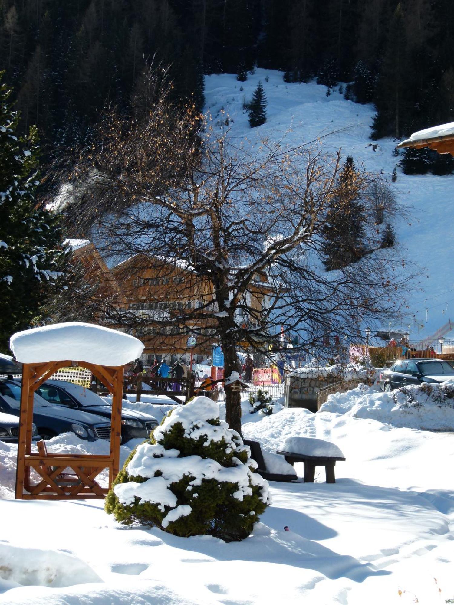 Chalet Elisabeth Dolomites Alpin & Charme Сельва-ді-Валь-Гардена Екстер'єр фото
